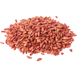 Абсолон зерно 0,5 кг в п/п пакете АЛ500П